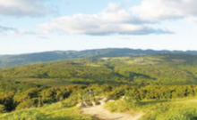ブナの森と群青の島ガイド