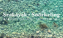 シーカヤックの様子