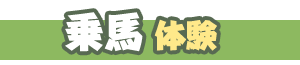 乗馬体験