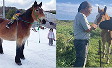 海岸沿いに設置しているサウナ