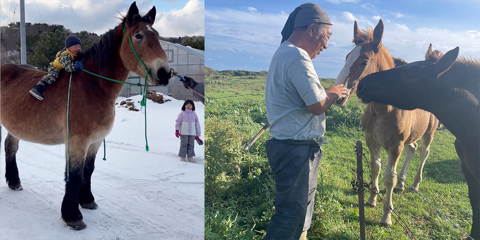 乗馬体験の様子