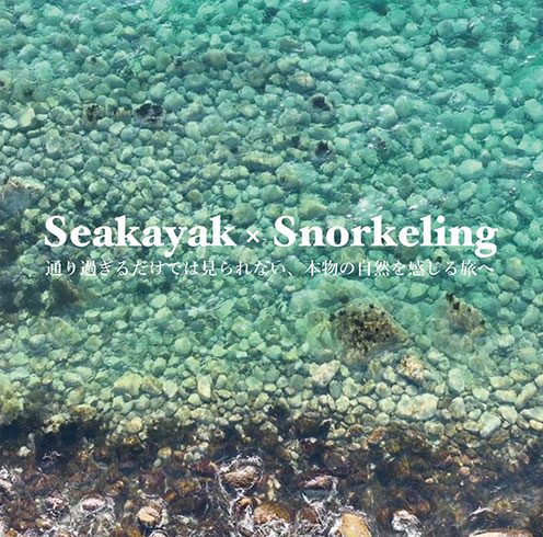 シーカヤックの様子